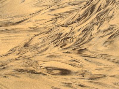 Spuren im Sand