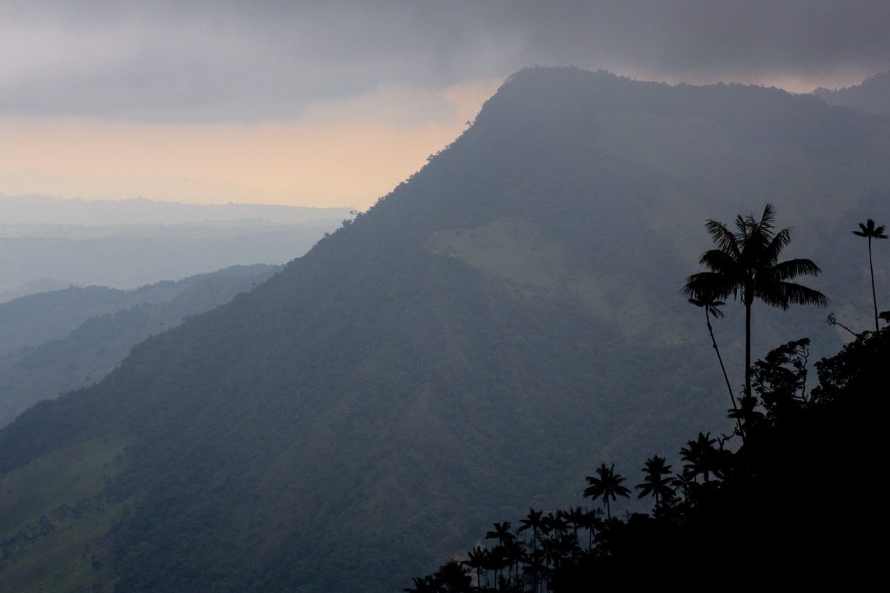 Auf Wandertour im Valle de Cocora